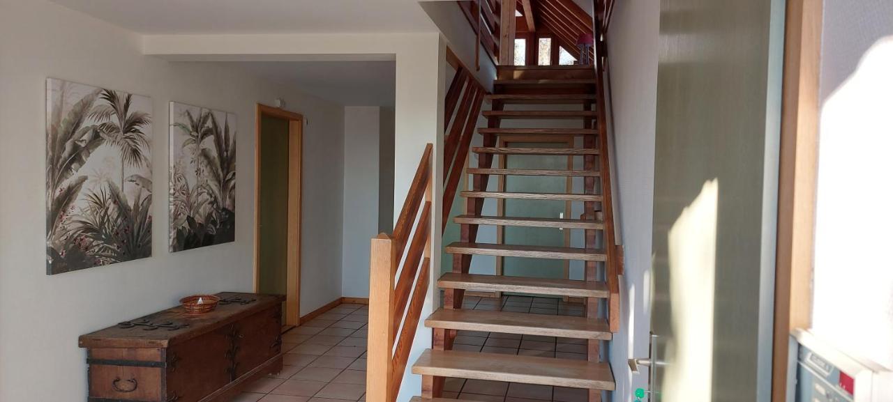 La Canopee Alsacienne - Magnifique Maison A Ribeauville Dış mekan fotoğraf